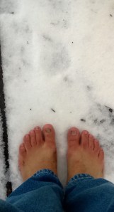 WP_20131208_15_39_27_Pro (1)