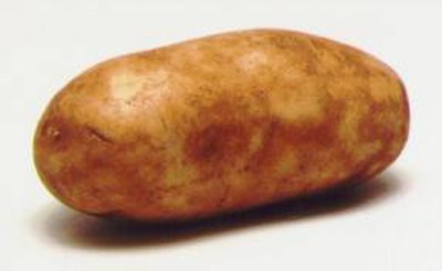 potato
